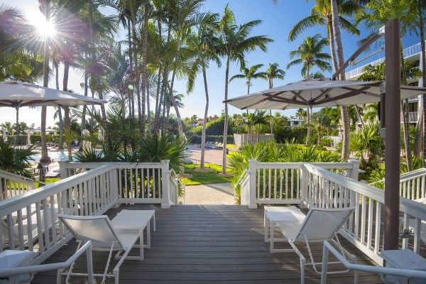 A sunny outdoor deck with lounge chairs, parasols, and a view of palm trees and a pool area with clear blue skies.