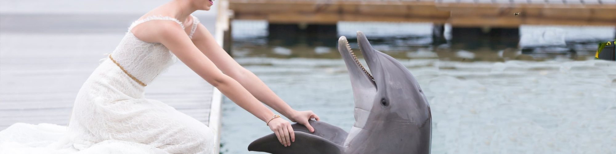 A woman in a white dress is sitting by a dock, interacting with a dolphin that is partially out of the water and facing her.