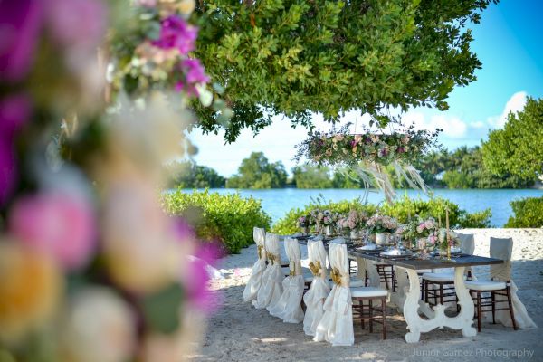 A beautifully decorated outdoor dining setup under trees, near water, with floral arrangements and chairs draped in white fabric.