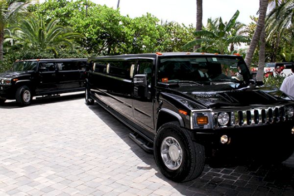 The image shows two black stretch Hummer limousines parked on a paved area with lush greenery in the background.