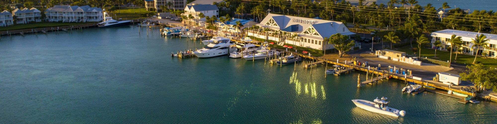 An aerial view of a marina with multiple boats docked along the shore, surrounded by buildings and lush greenery under a blue sky.