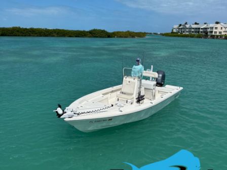 A person is on a small boat in clear turquoise waters near lush green land and buildings, with 