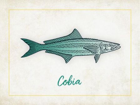 An illustration of a fish with the label 