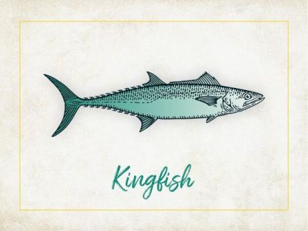 The image shows an illustration of a kingfish with the text 