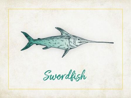 An illustration of a swordfish with the word 