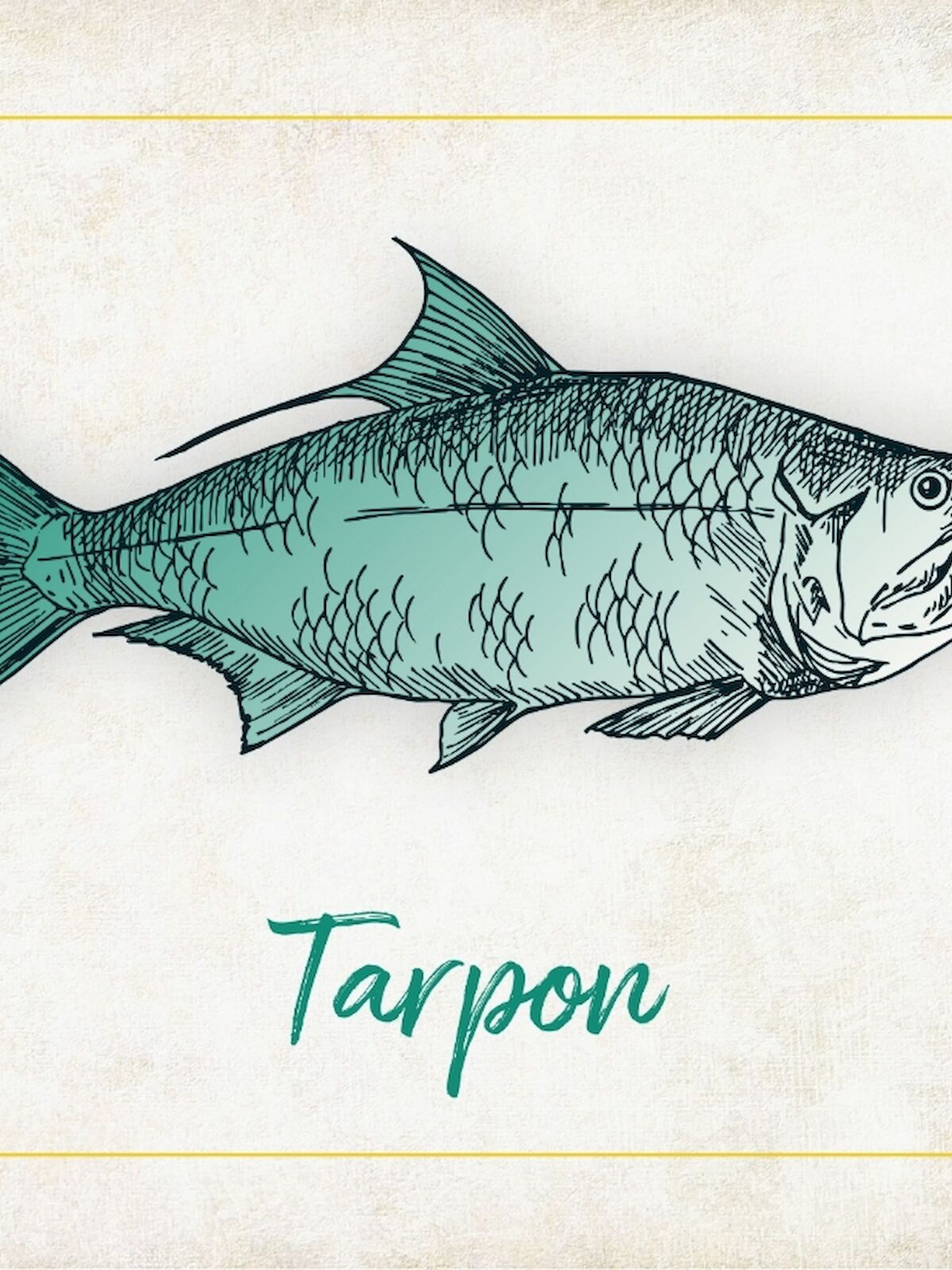 The image depicts an illustration of a fish with the label 