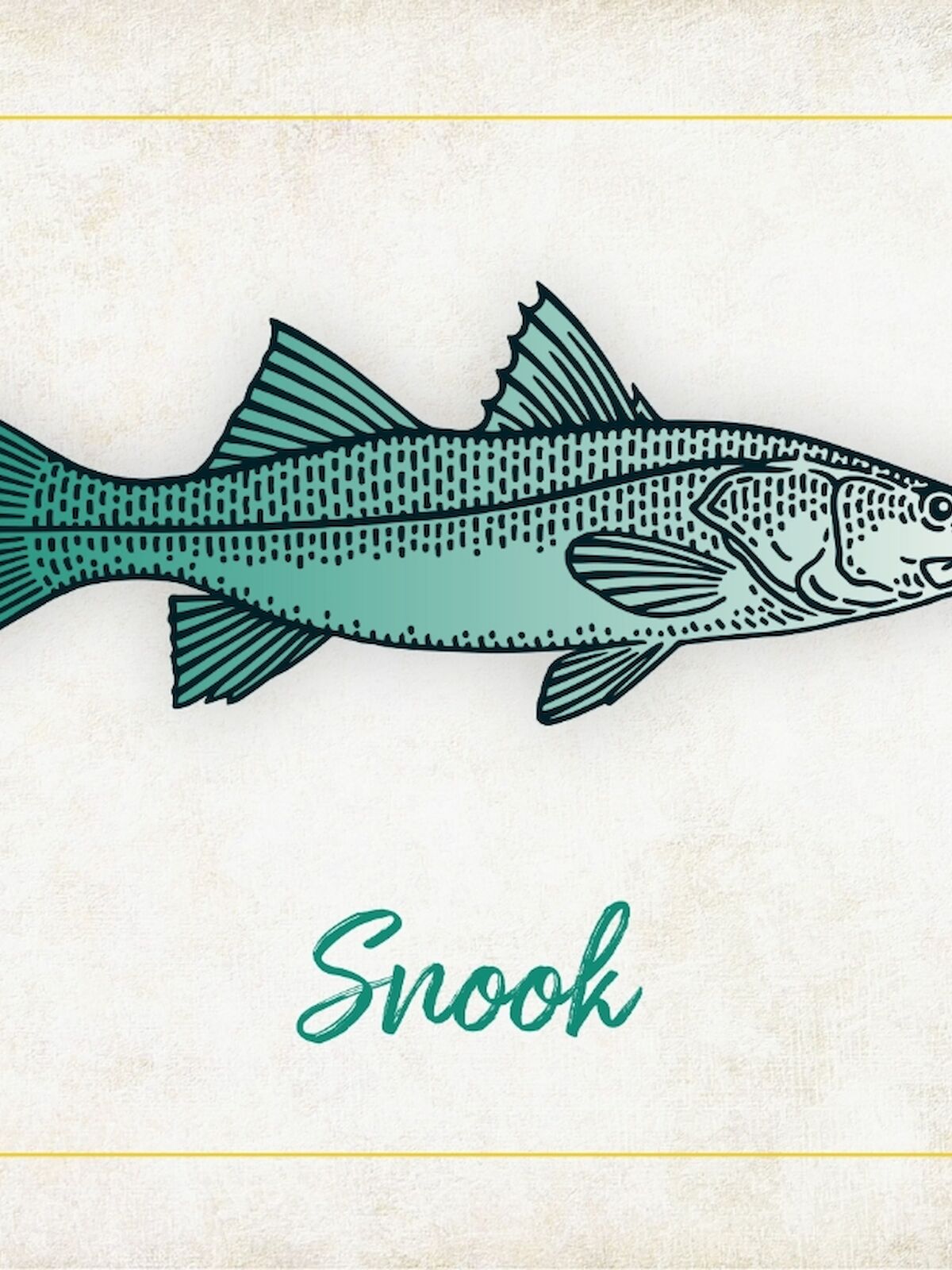 The image shows an illustration of a fish labeled 