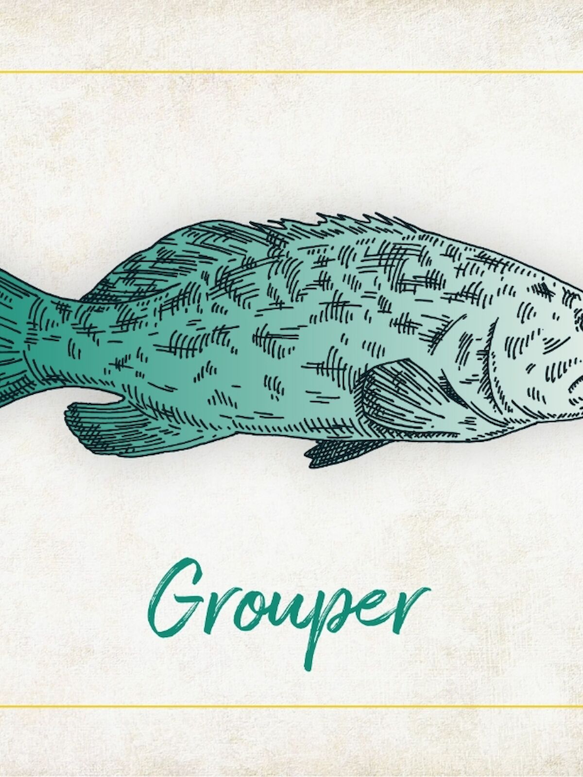 The image shows a drawing of a grouper fish with the word 