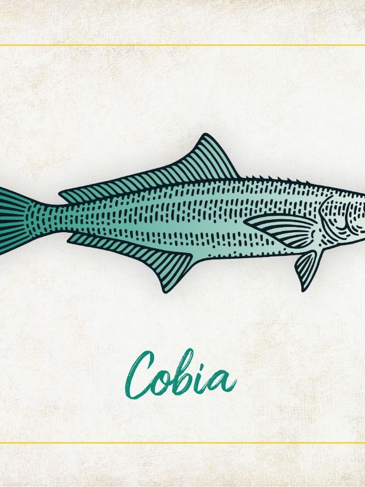 The image features an illustration of a fish labeled 