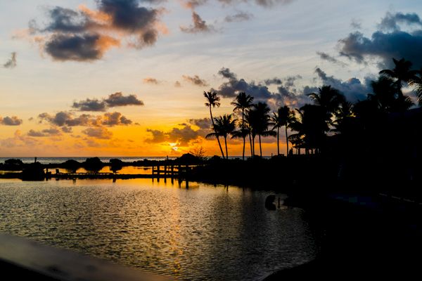 The image shows a beautiful sunset over a calm body of water with silhouetted palm trees, scattered clouds, and a peaceful, tropical vibe.