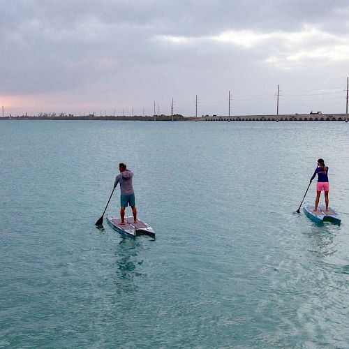 Two people are stand-up paddleboarding on a large body of water at sunset with a long bridge and some trees in the distance.