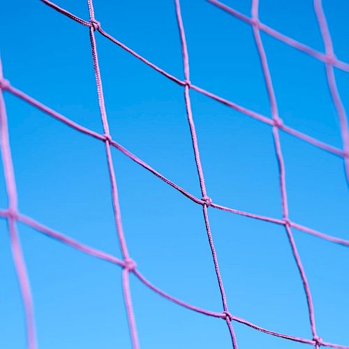 The image shows a close-up of a purple or pink net against a clear blue sky background, with the net's knots and threads clearly visible.