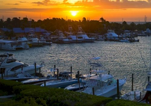 The image shows a marina filled with boats at sunset, with the sun setting over the horizon, casting a golden glow over the water and sky.