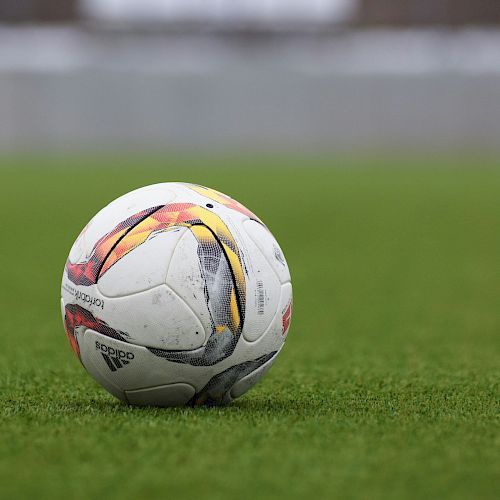 A soccer ball on a grass field, with a blurred background.