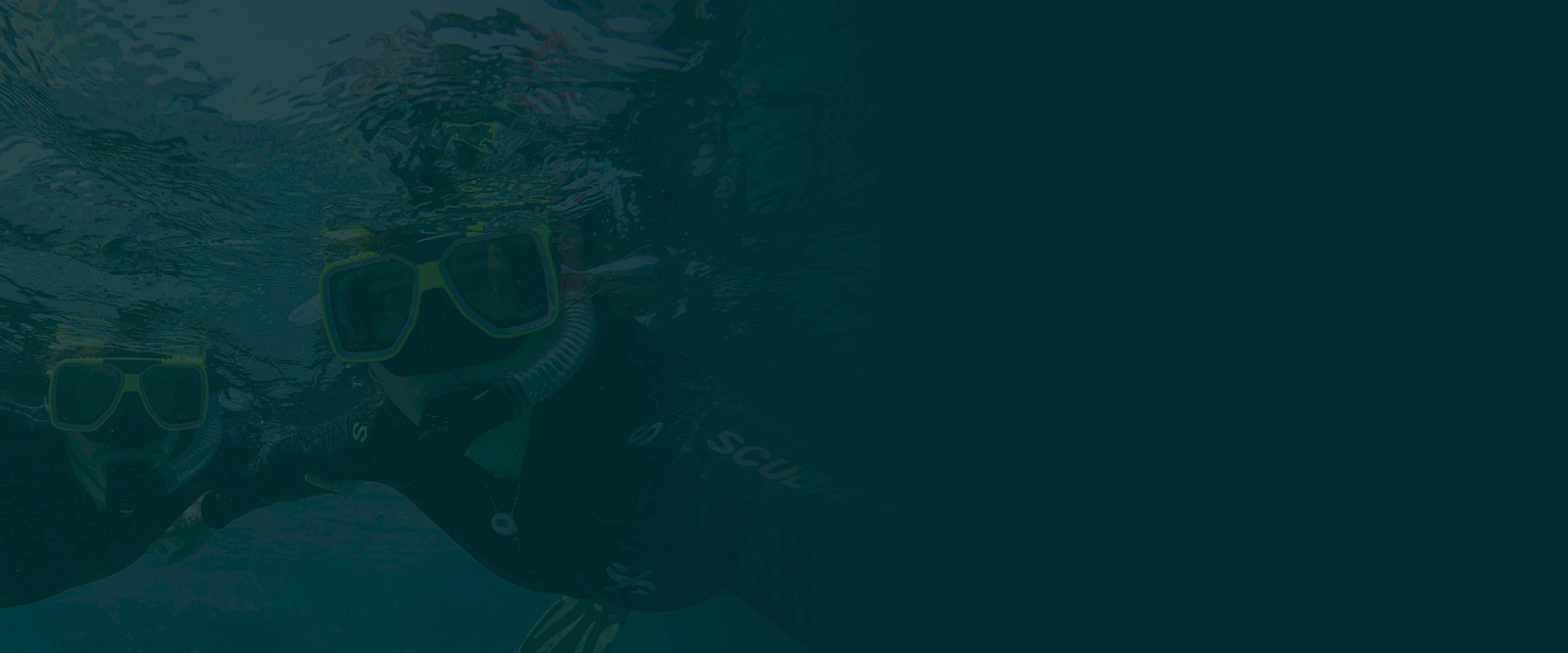 Two people are snorkeling underwater, wearing snorkel masks and gear, and are visible through a dark filter effect on the image.