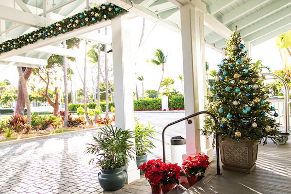 A decorated Christmas tree and festive plants are set up in a bright, outdoor area with palm trees and holiday decorations.